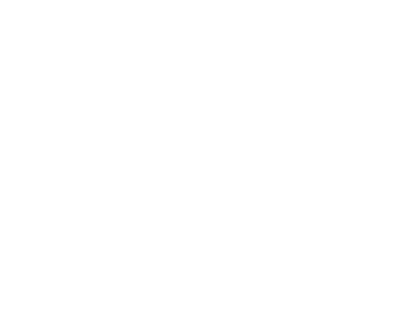 プログラム実施期間と内容