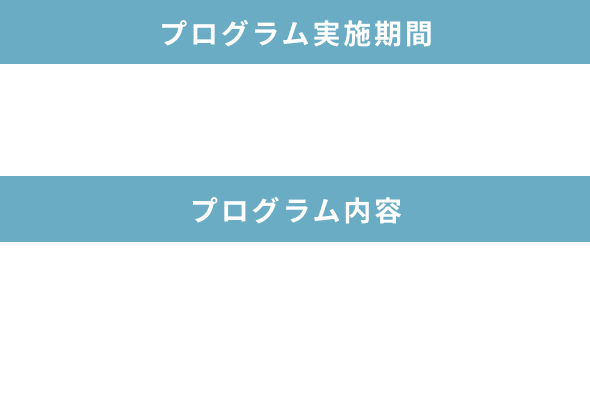 プログラム実施期間と内容