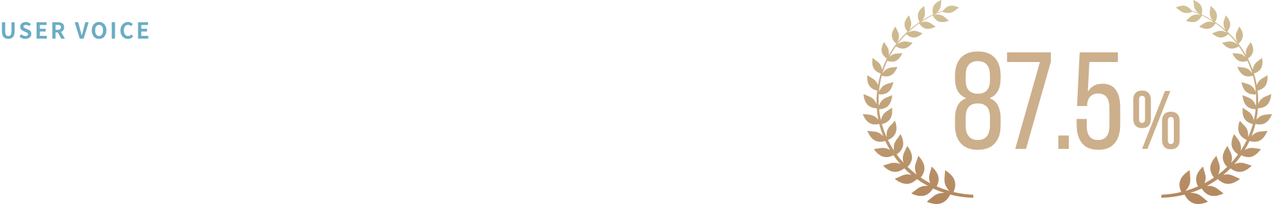 ユーザーボイス