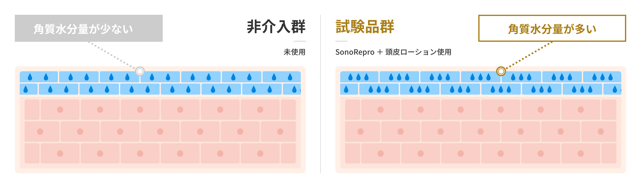 頭皮水分量の変化