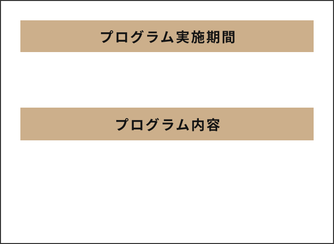 プログラム実施期間と内容