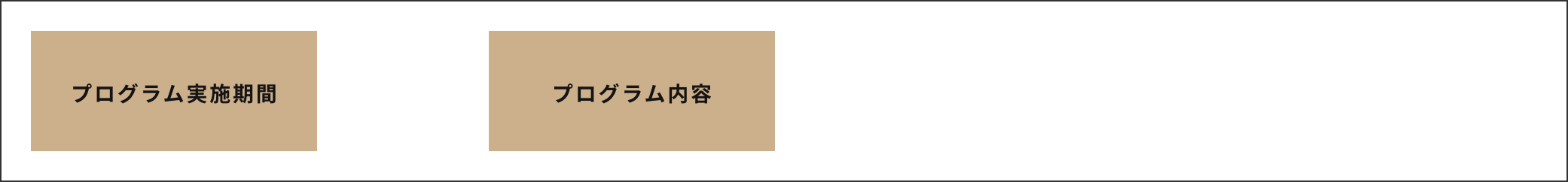 プログラム実施期間と内容